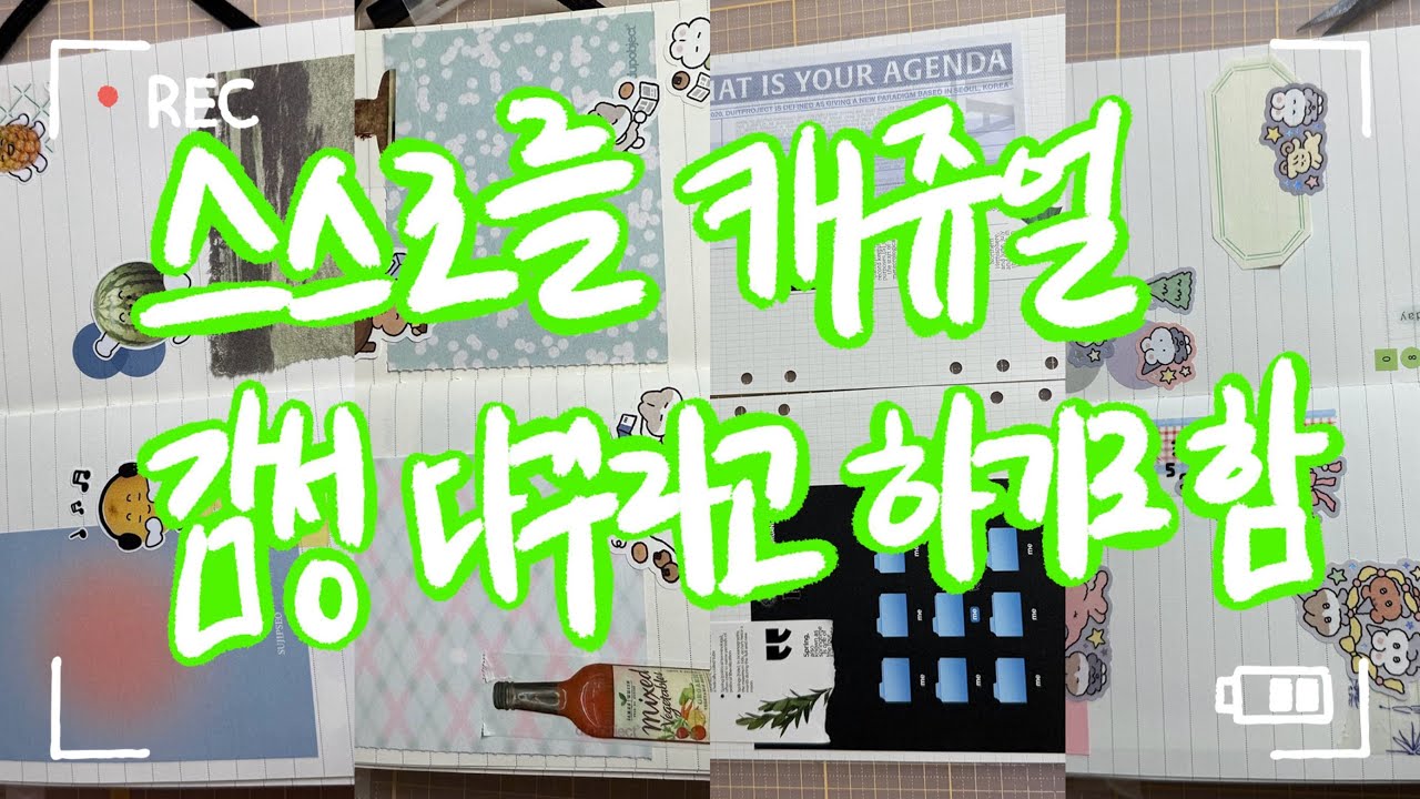 본인을 스스로 캐쥬얼 다꾸라고 말하기로 한 사람의 감성 다꾸