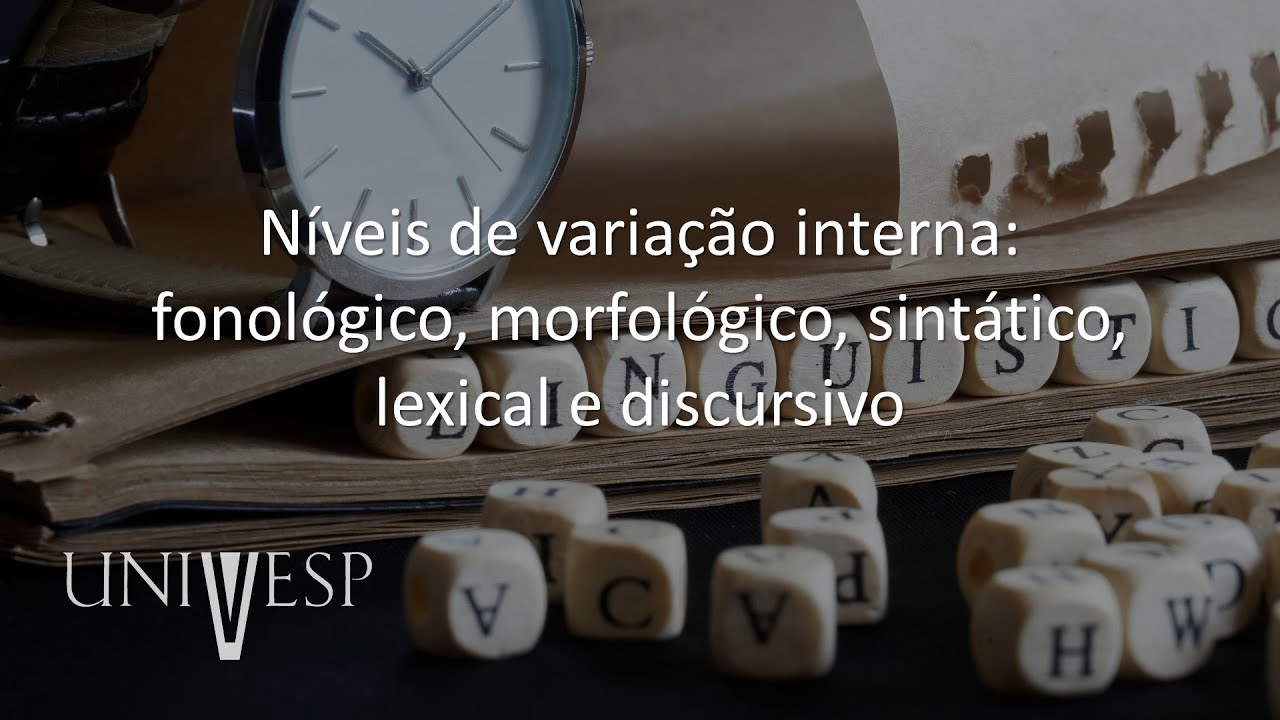 Variação e mudanças linguísticas - Níveis de variação interna: fonológico, morfológico, sintático