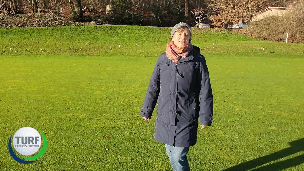 👉 Schneeschimmel im Rasen - Rasenschäden im Frühjahr