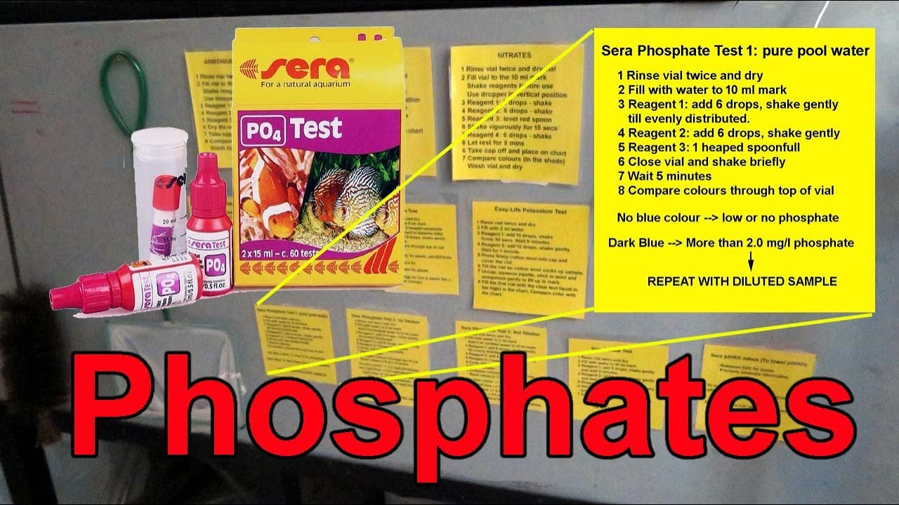 How you test phosphates with the Sera GmbH Test kit for aquariums