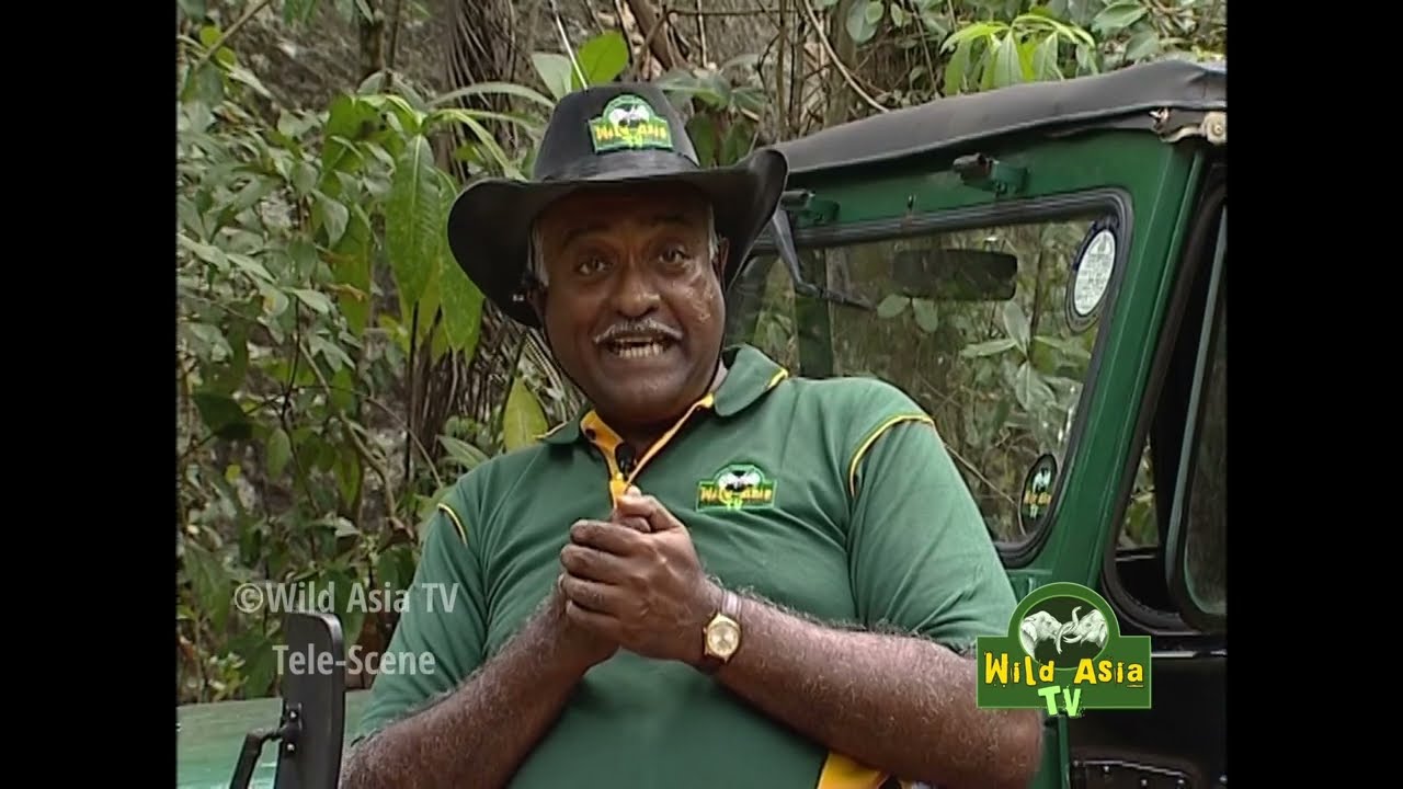 Wild Asia TV - Episode 10 (Sinhala)