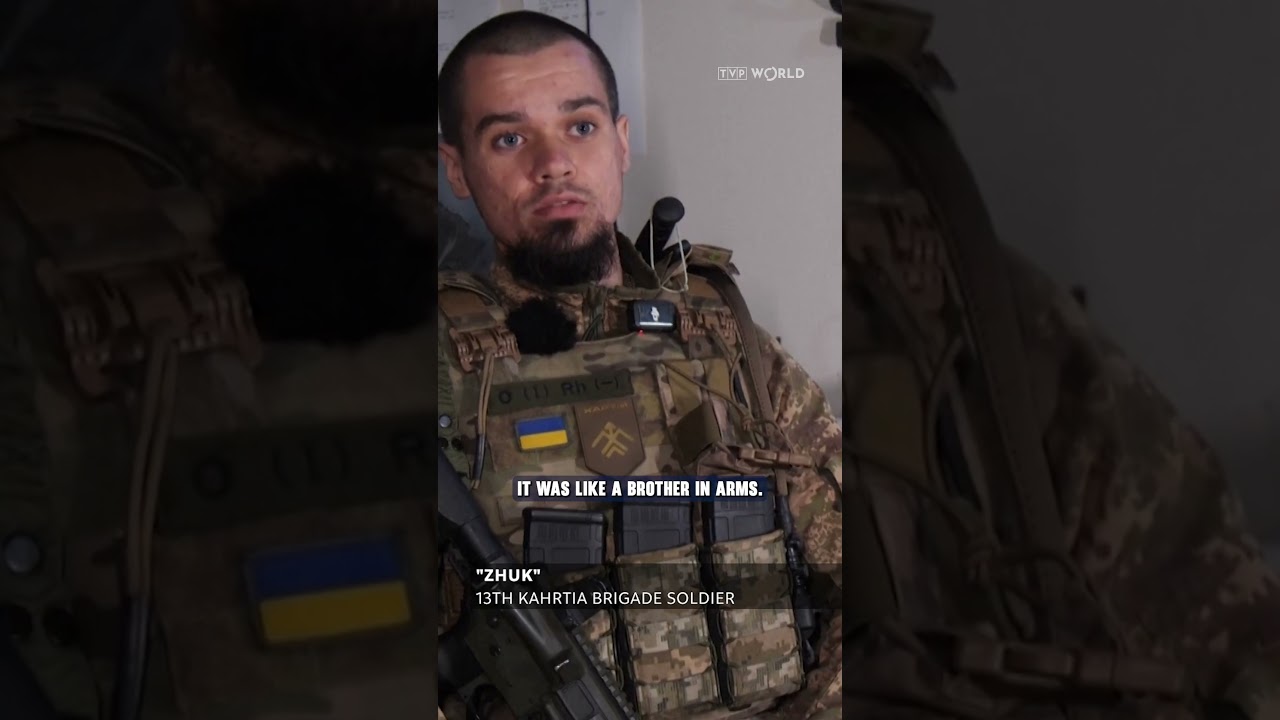 Ukrainian #soldier uses #robot to #save a cat from the trenches