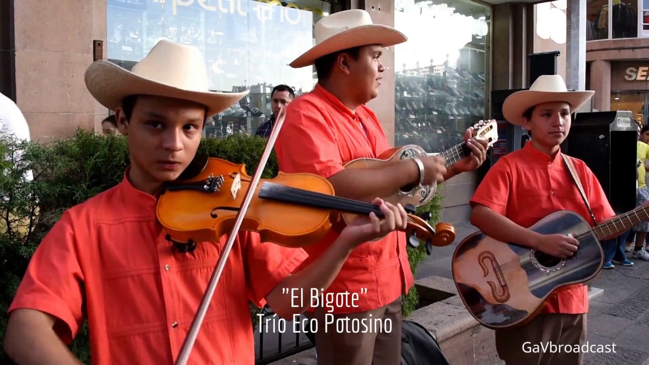 Trío Eco Potosino - El Bigote y La Burra Orejona