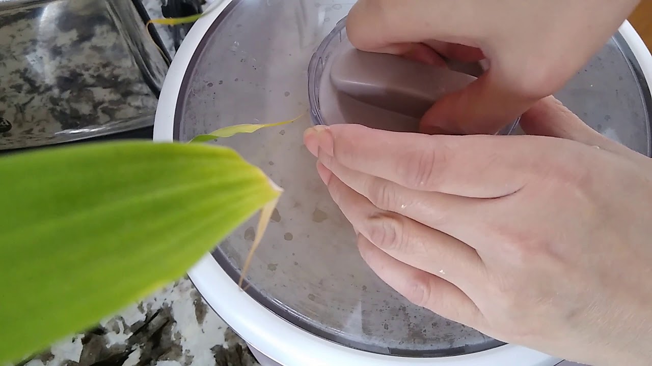 EP125 小熊和面机使用体验