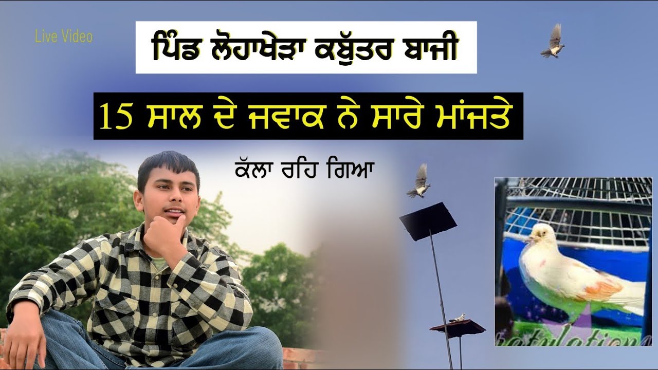 ਕਬੂਤਰ ਬਾਜੀ ਲੋਹਾਖੇੜਾ 15 ਸਾਲ ਦੇ ਜਵਾਕ ਨੇ ਸਾਰੇ ਮਾਜਤੇ Bagga hd