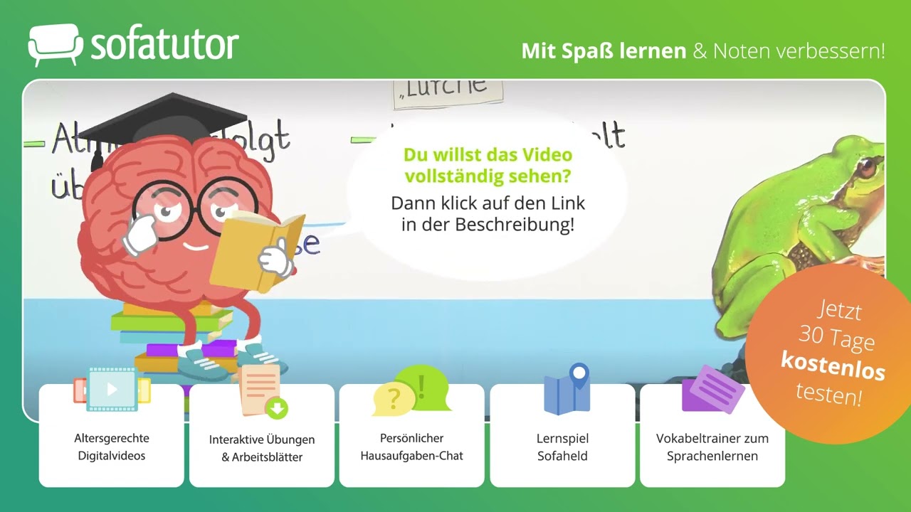 Amphibien: Frösche, Kröten, Unken, Salamander & Molche – einfach erklärt!