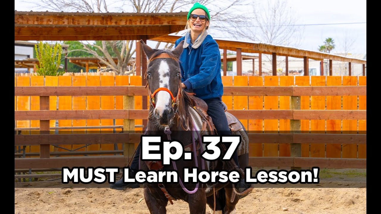 Amazing Lesson, Rescuing, & Healing Horses! | Ep 37