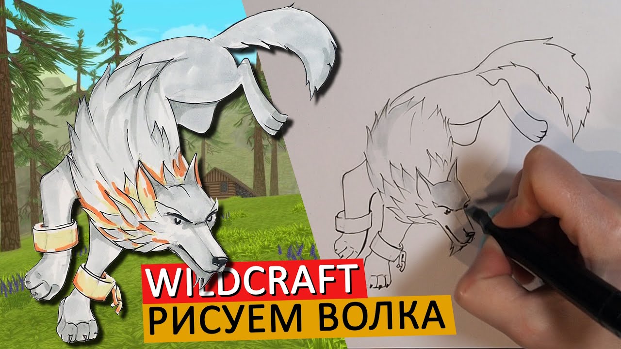 КАК НАРИСОВАТЬ ВОЛКА в стиле WILDCRAFT