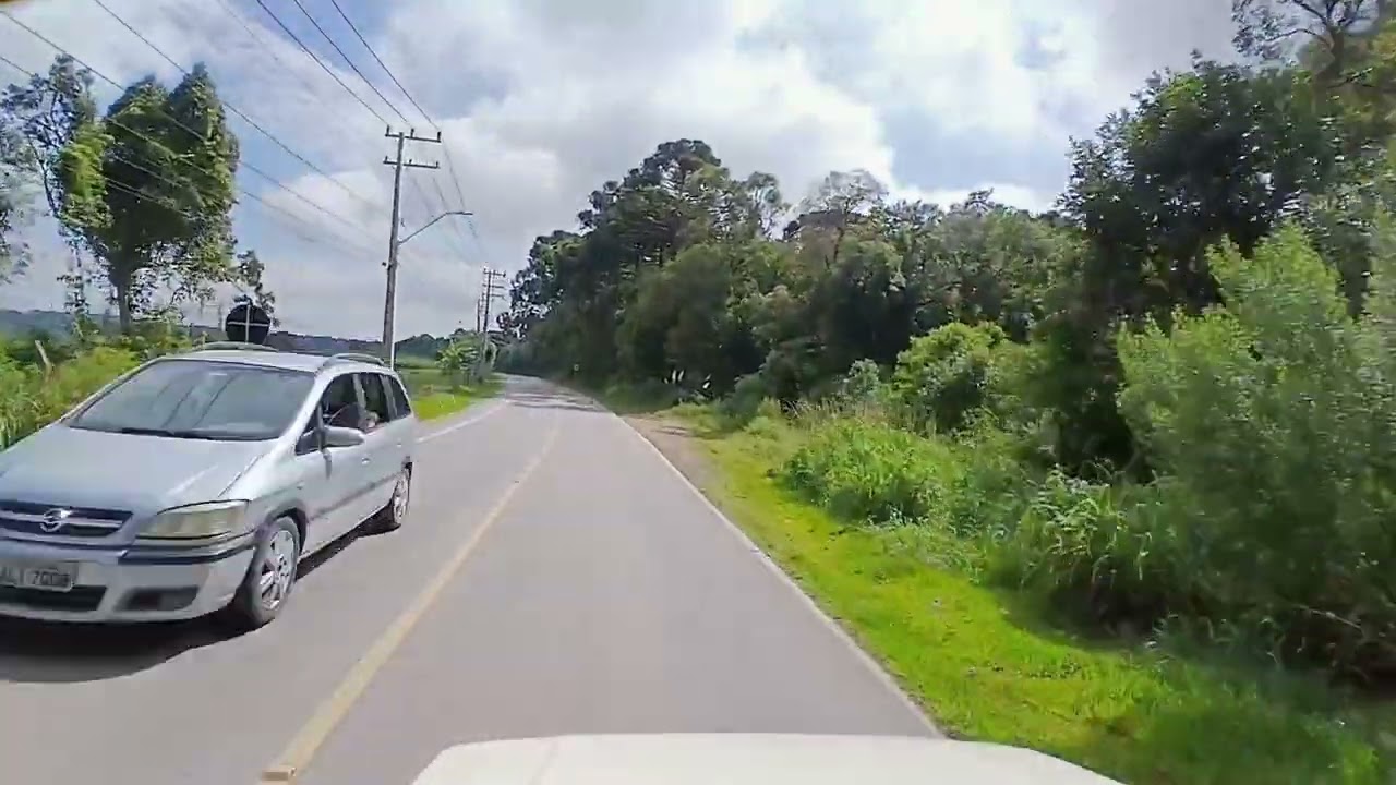 De araucaria para fazenda rio Grande 