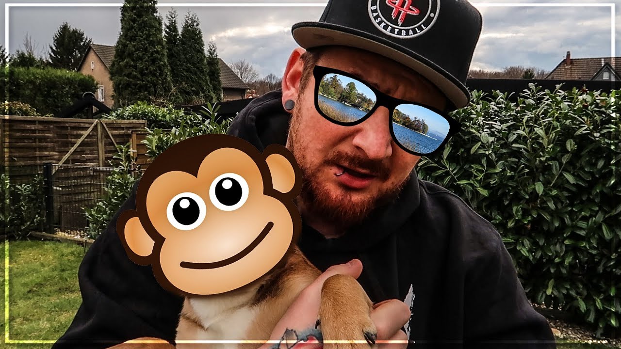 Ich habe mir einen HUND gekauft 🐶 | Das ist KANO 🐕 | Der Keller