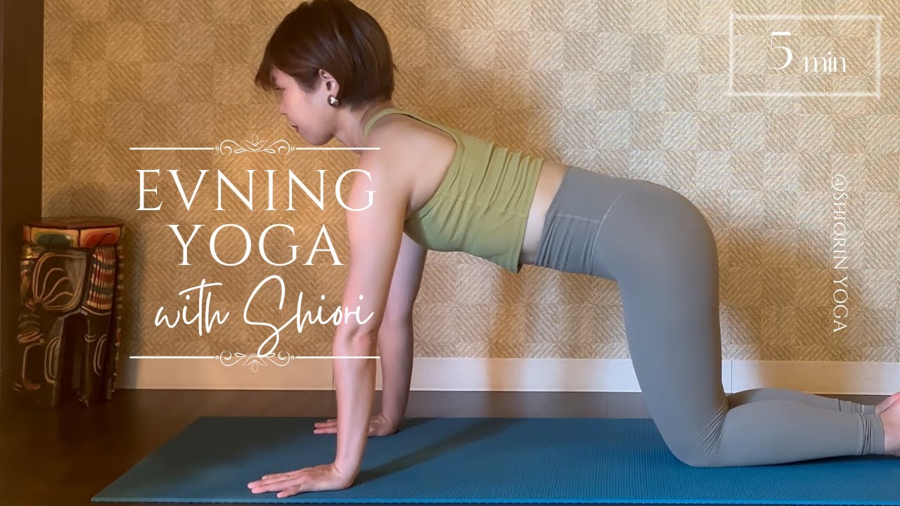 【進化した陰ヨガ】キャットロールで背骨を整える｜巡りを良くする陰ヨガ yinyogajapan