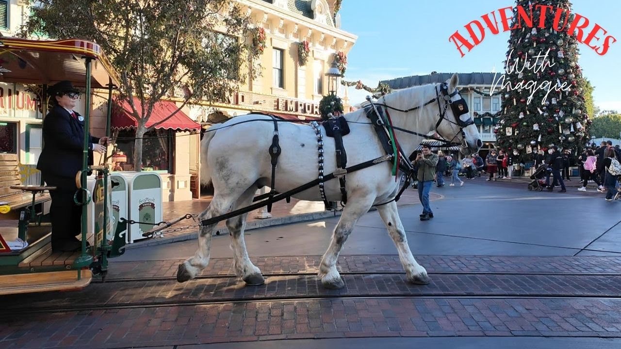 Disneyland Horse-Drawn Street Car Trolley - 