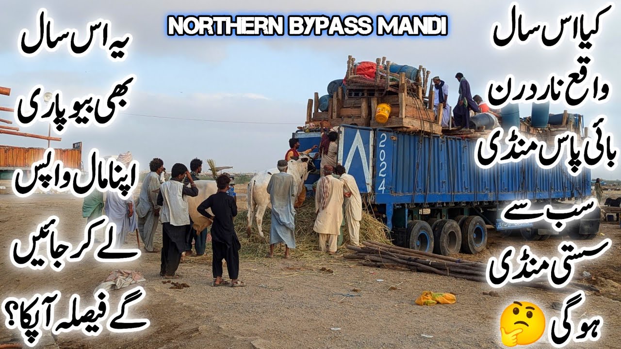 Kiya Is Saal Waqae Northern Bypass Mandi Malir Mandi Or Bhains Colony Mandi Se Sasti Mandi Hogi 🤔