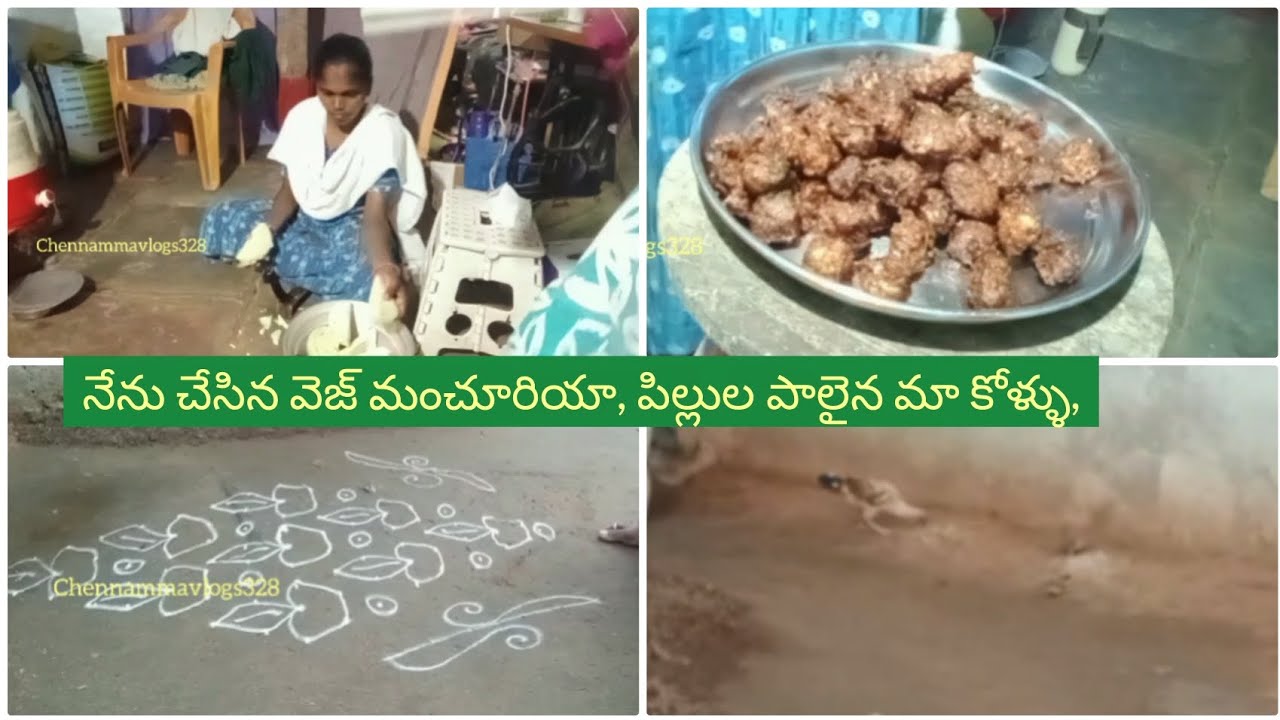 Vlog//నేను చేసిన మంచూరియా//కోళ్లను ఎత్తుకు పోయిన పిల్లులు//మా ఇంటి దగ్గర వాతావరణం,పక్షులు.