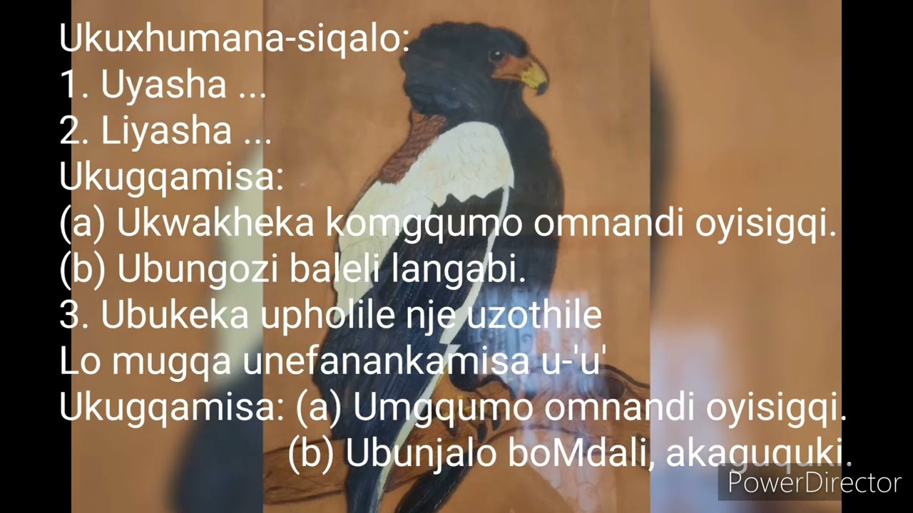 Inkondlo: Udondolo: Ukuchazwa kwamagama akhethiwe. Ibanga le-11