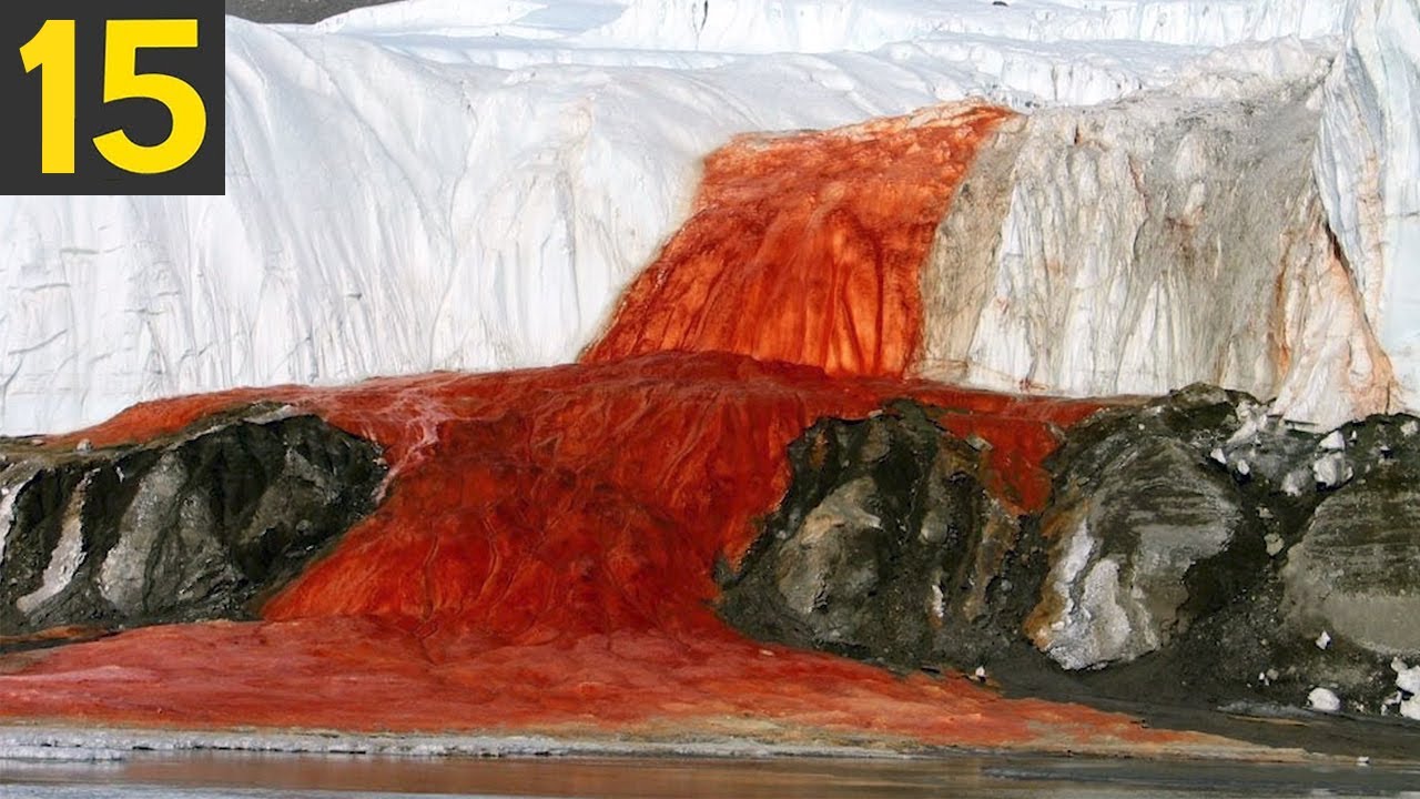 Top 15 Strange Things Found Frozen In Ice