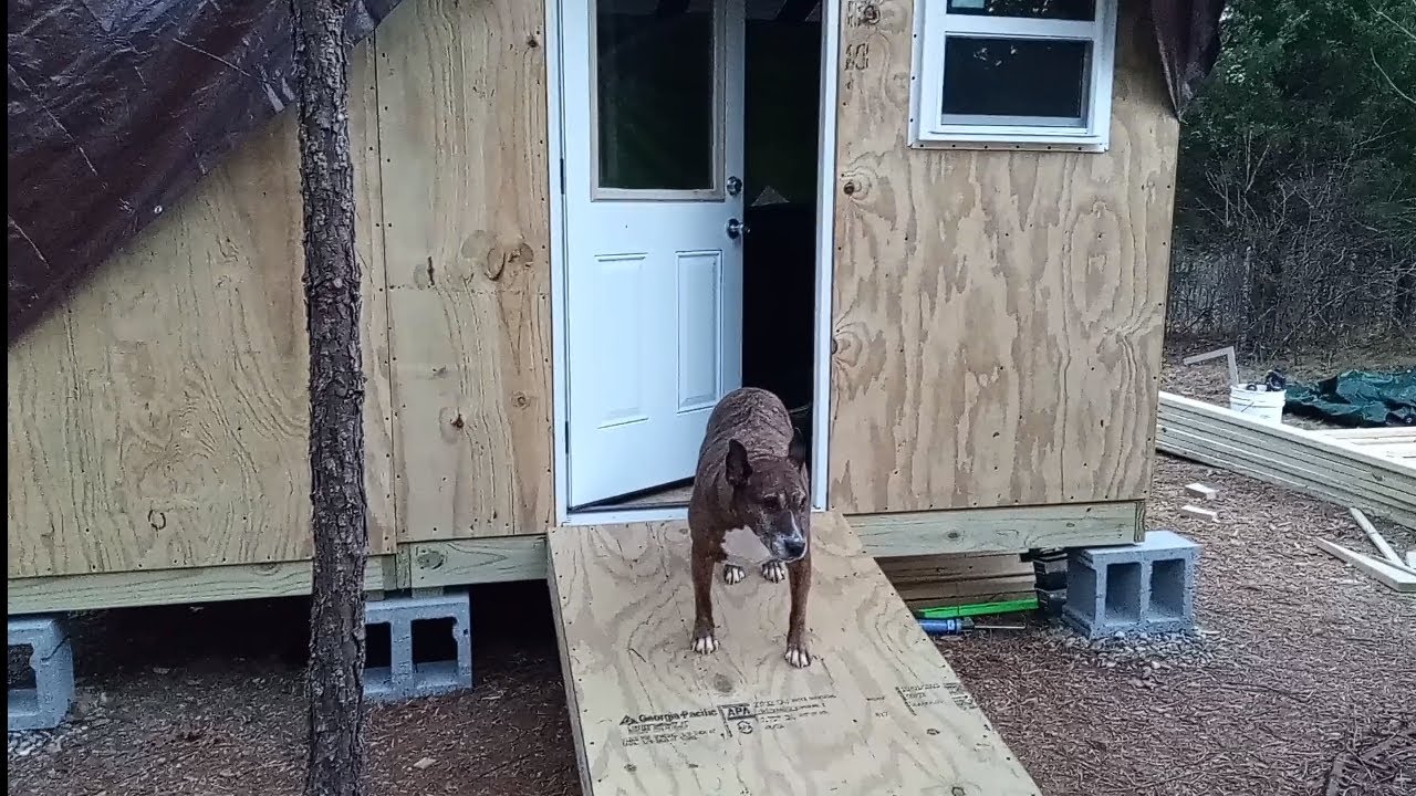 Sleeping In The Unfinished Cabin