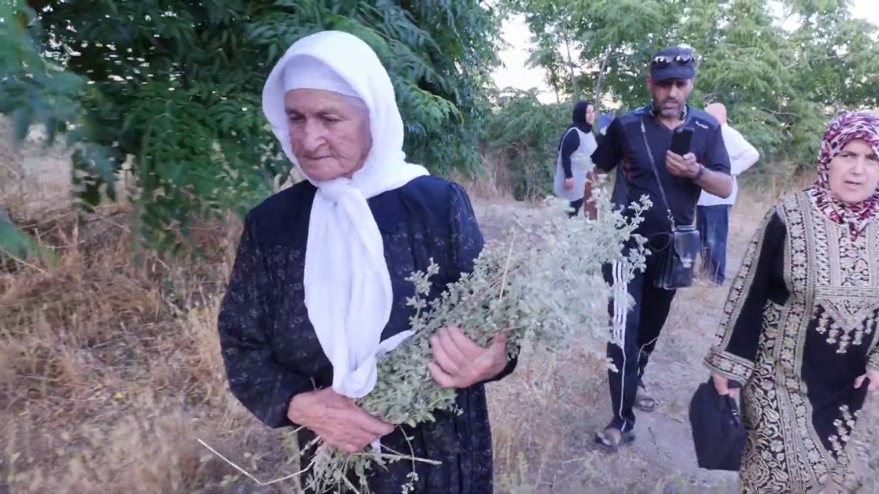 إجزم/حيفا 2019 مع أغنية التغريبة الفلسطينية
