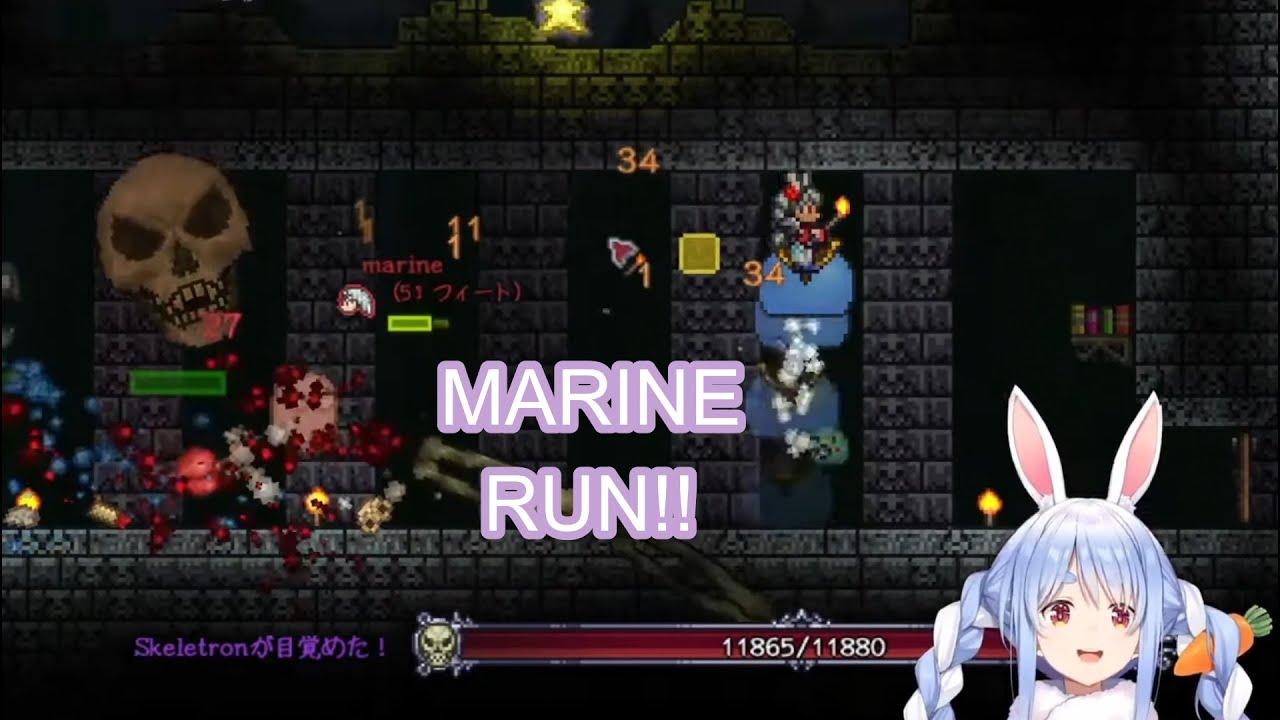 Pekora Drags Marine Into Dangerous Dungeon to Fight Hard Boss