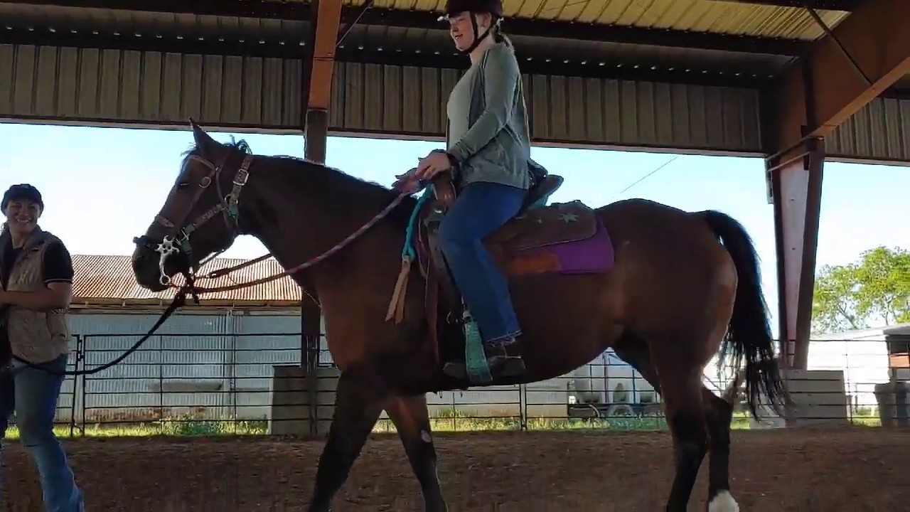 Adult Beginner Riding Lessons - First ride on a horse, one rein stop, backing, and turning