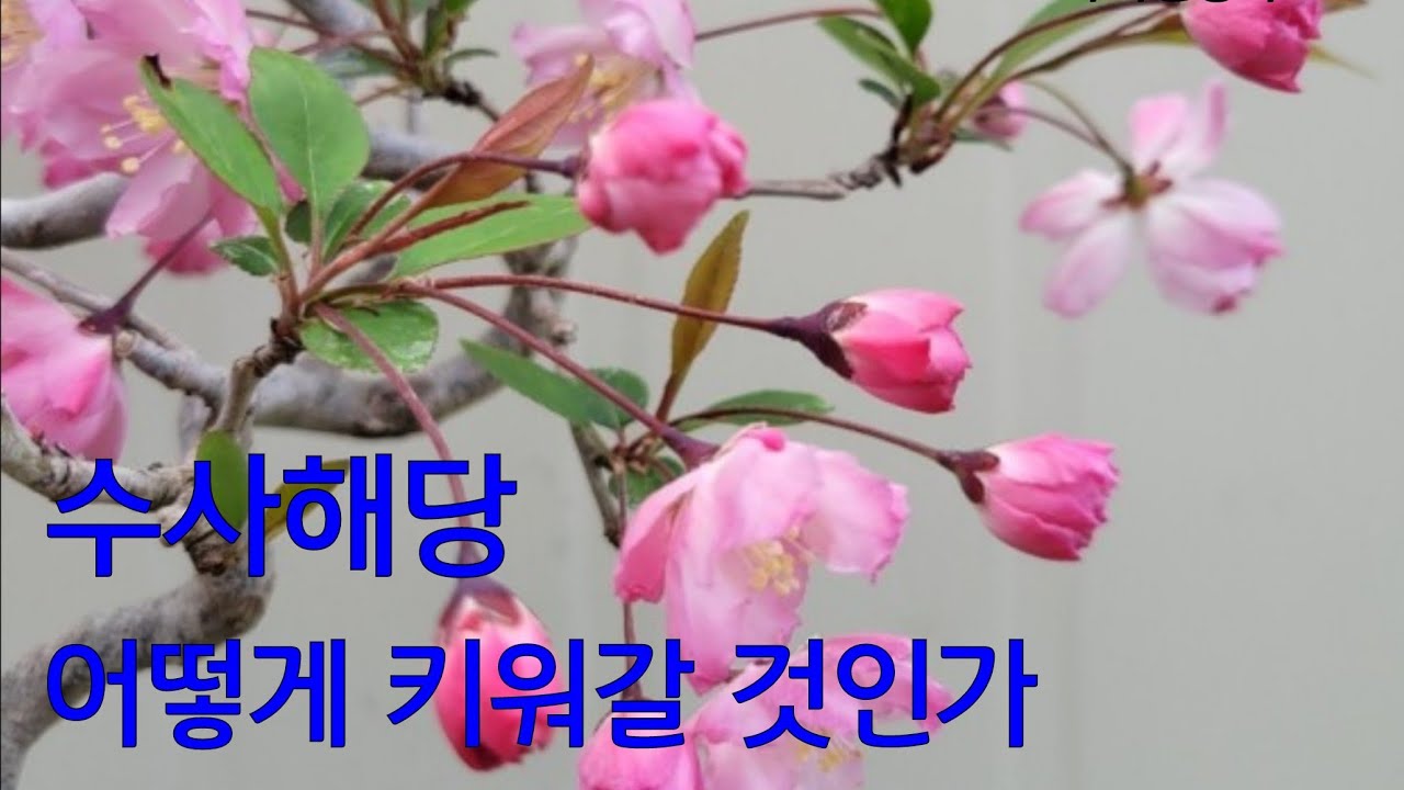 수사해당 어떻게 키워갈 것인가  #175사계전정학교 24 04 02