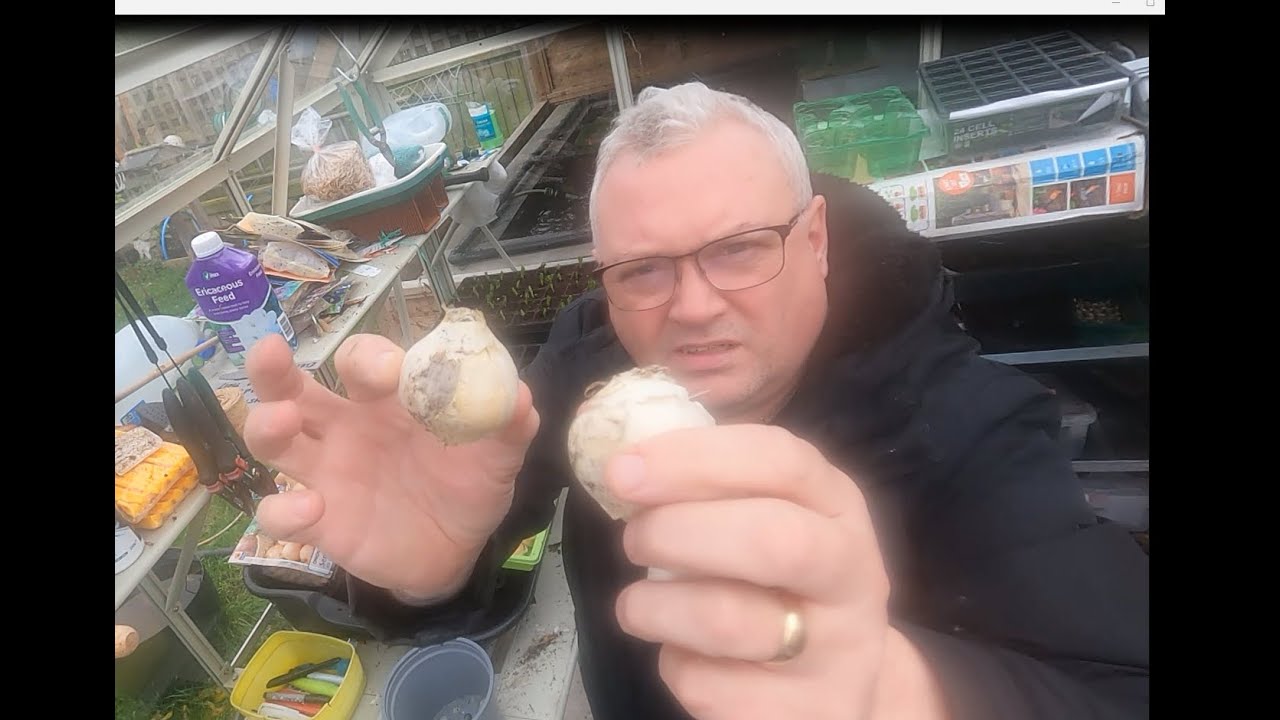 Sorting out my onion's & garlic