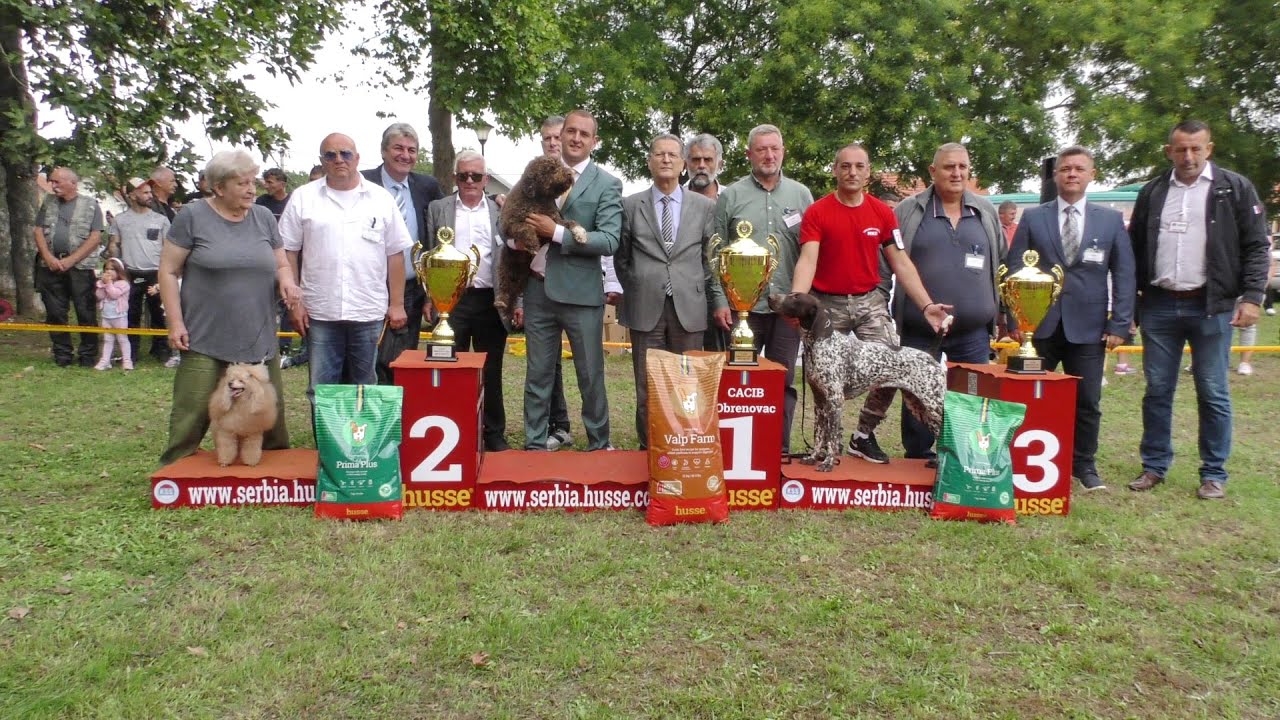 17 CACIB OBRENOVAC 2022