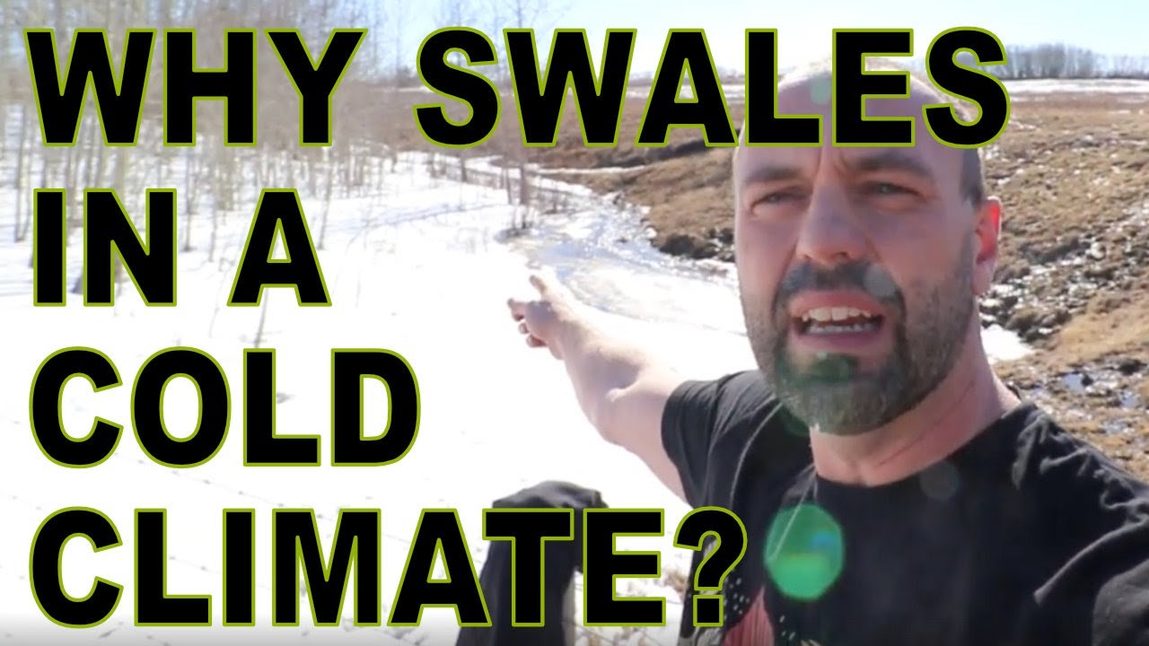 Why Swales Make Sense In Cold Climates