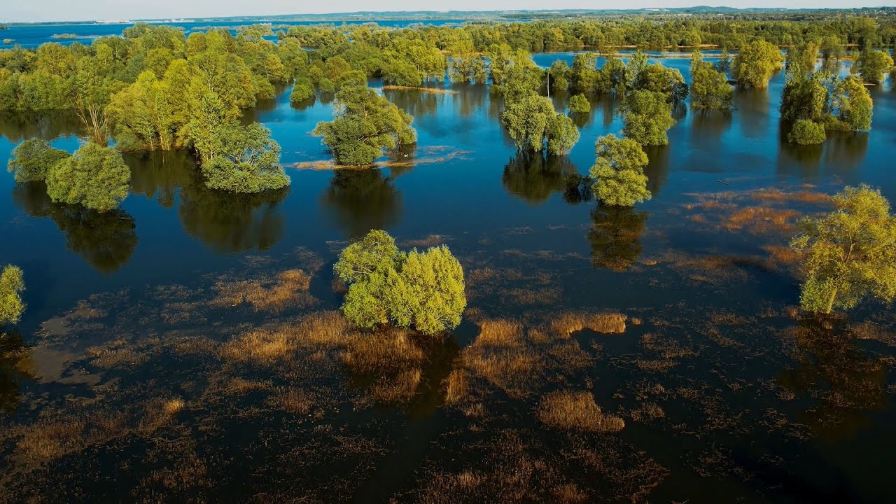 Relaksacyjny lot nad rozlewiskami Jeziora Nyskiego – Spokój, woda i natura w 4K  11 minut odprężenia