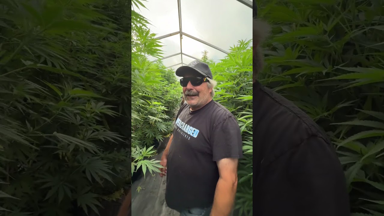 Always so much fun visiting @urbanremo and his incredible plants.   @WolverineDabs and myself