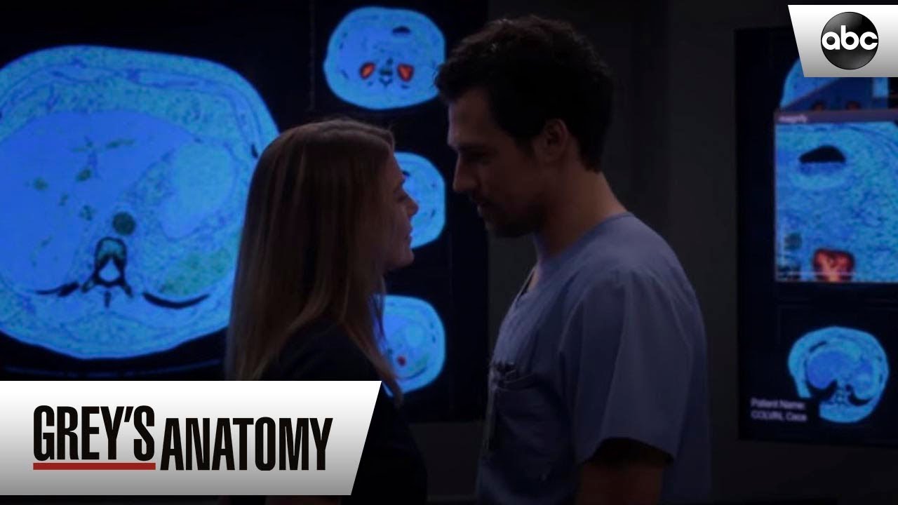 Deluca Confesses Feelings For Meredith – Grey’s Anatomy Season 15 Episode 8