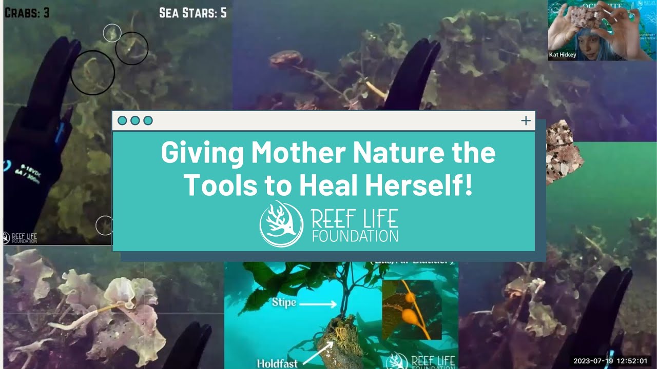 All-Women IntelliReefs Team WOWS Earth Law Center | 🌊 Full-Length OCEAN RESTORATION Presentation! 🌊