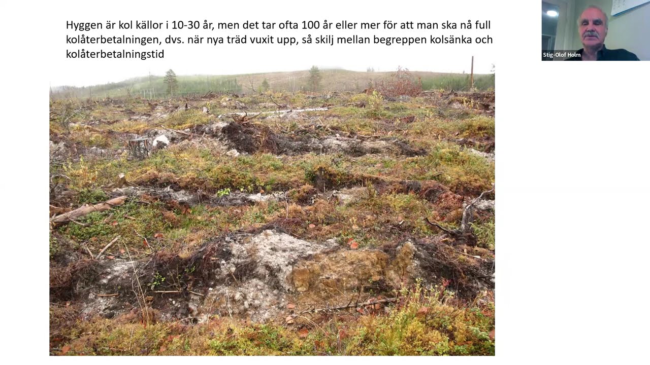 Skogswebinar #2 - Stig-Olof Holm - Skogen och Klimatet
