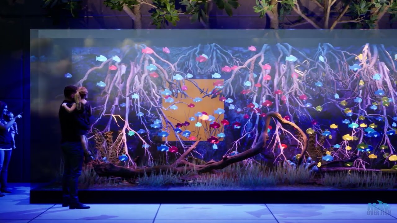 Airport 10m Long Aquarium with Mangrove concept