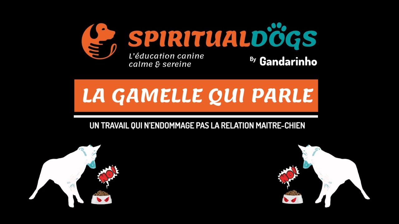 LA GAMELLE QUI PARLE