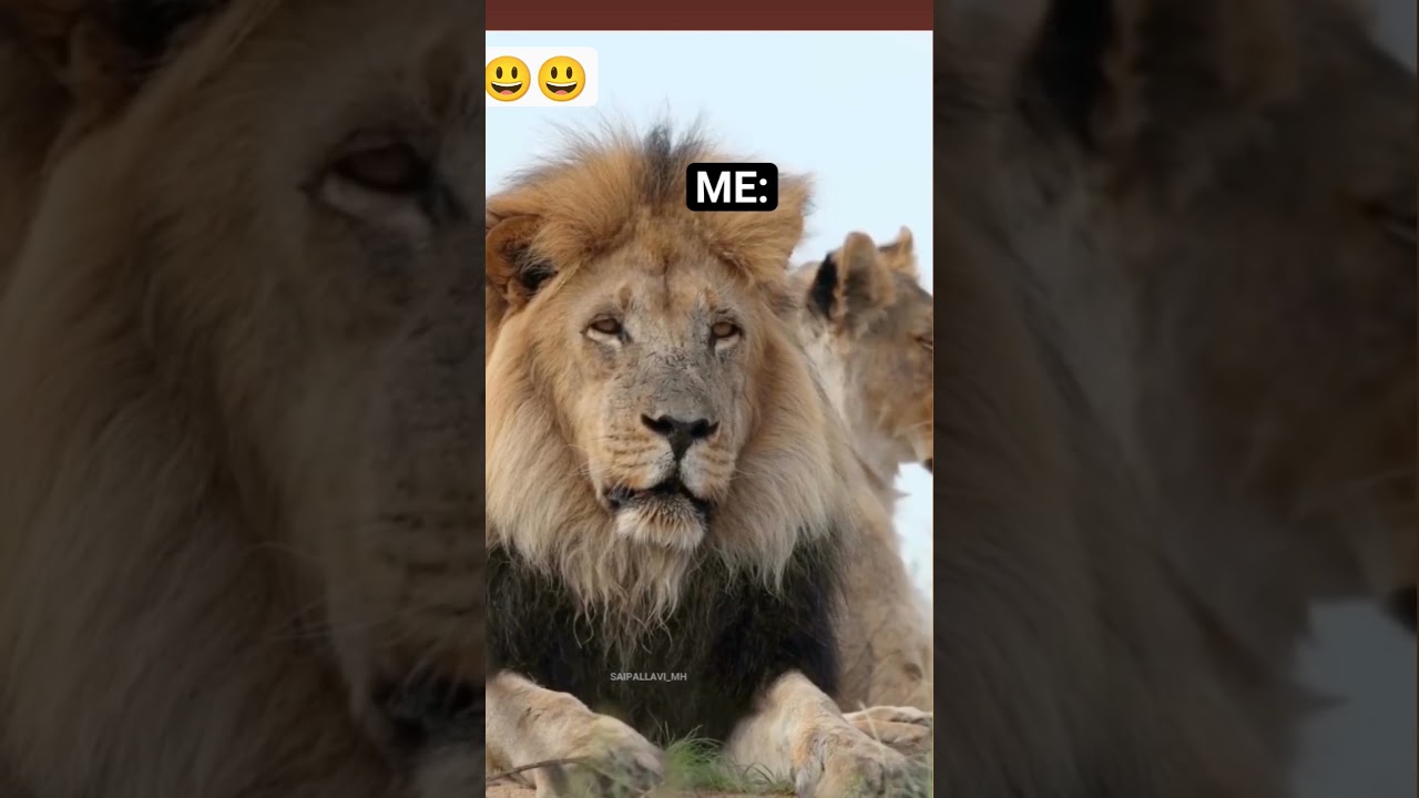 #shortviral💫❣️ #youtubeshorts 💯💞#funny #video 👌#NMC motivation #🤗😆