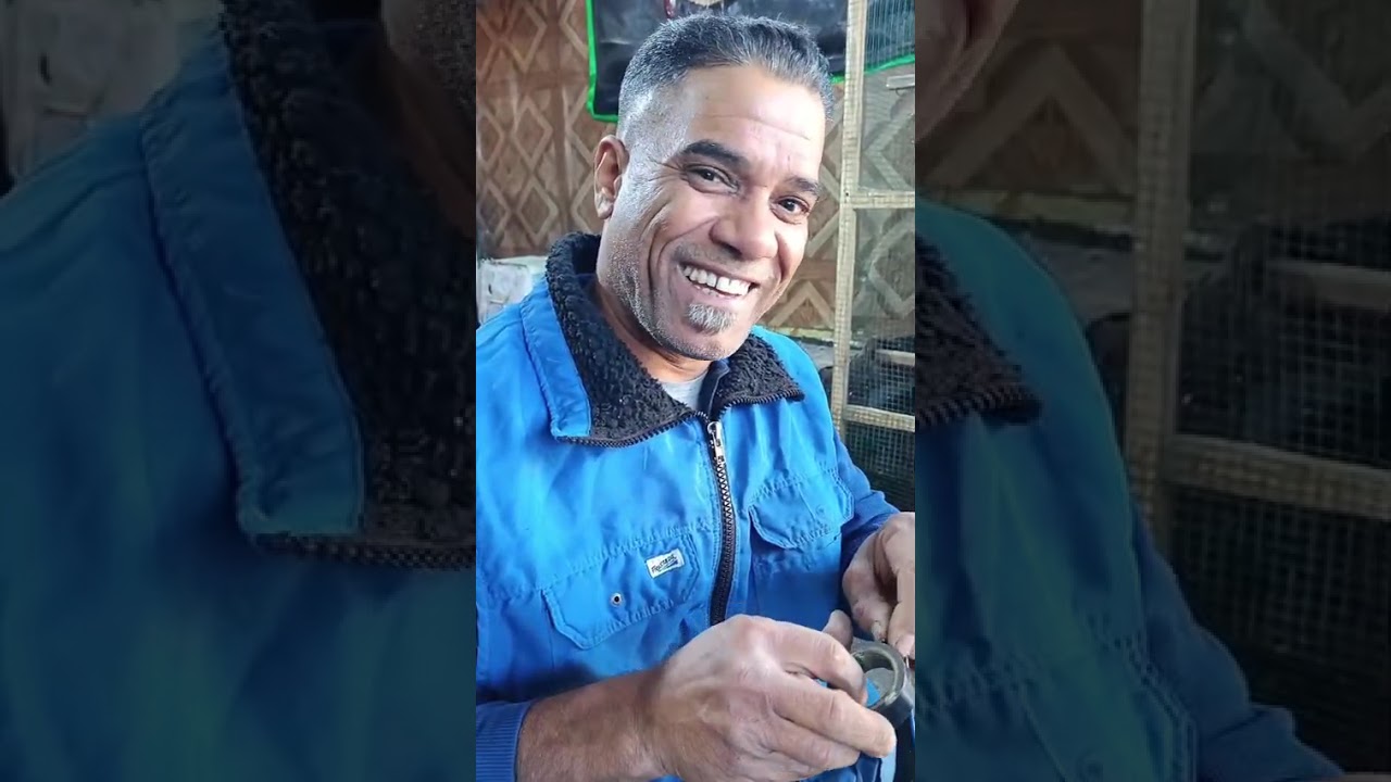 كيفية ربط هورن البوش للستوتة