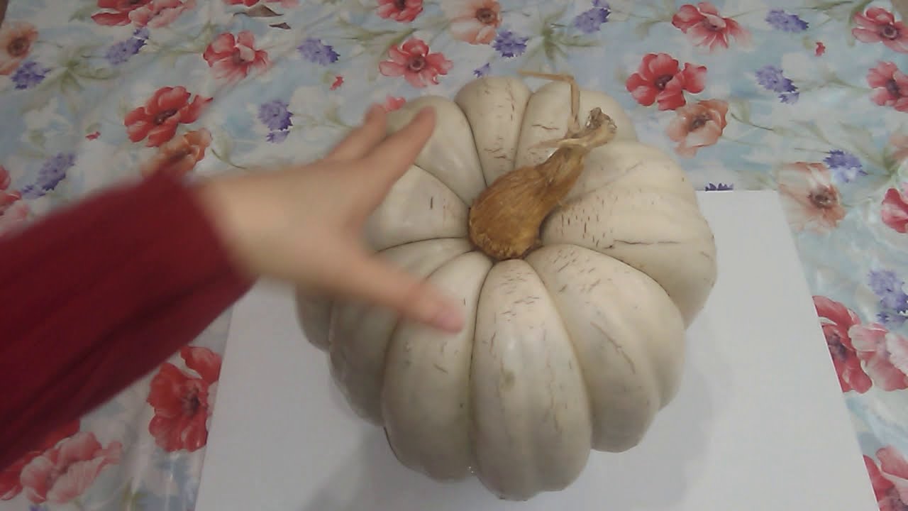 Balkabağı nasıl soyulur En iyi balkabağı nasıl bilinir balkabağının faydaları
