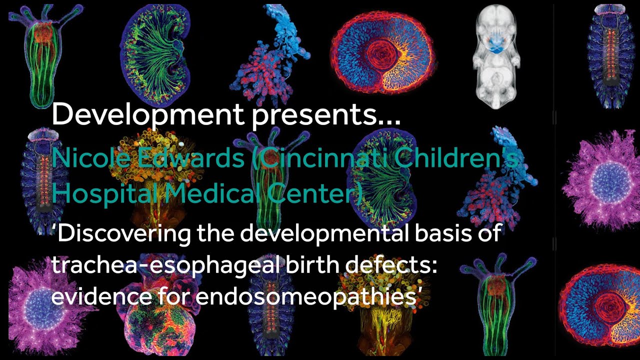 Development presents... Nicole Edwards