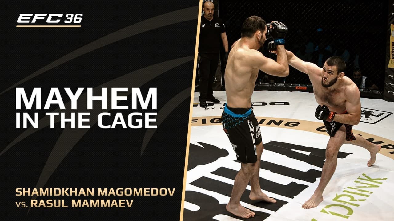 Расул Маммаев vs Шамидхан Магомедов | EAGLE FC 36