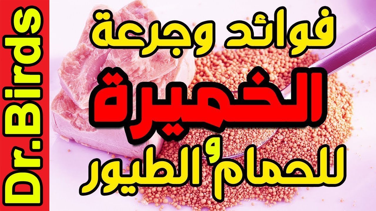 جرعة الخميرة للحمام والطيور ، فوائد الخميرة للحمام والطيور