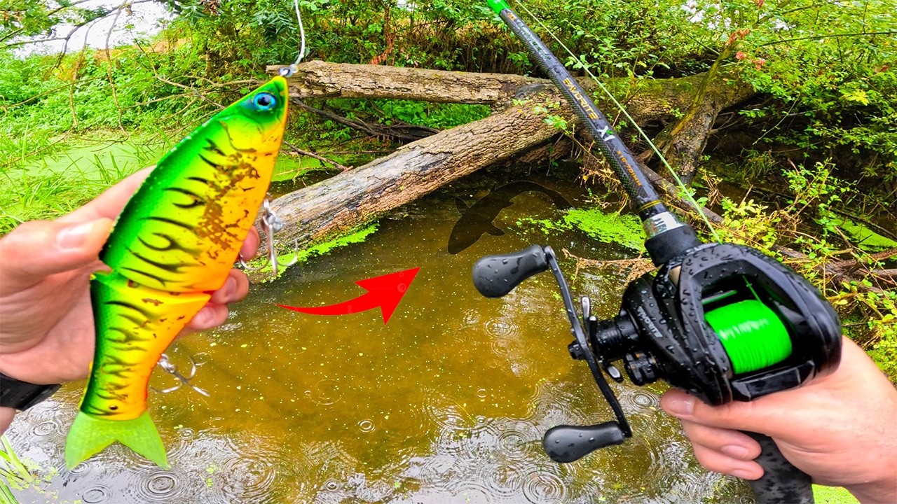 Cette FAÇON de PÊCHER est REDOUTABLE sur la PÊCHE du BROCHET en petite RIVIÈRE !!!
