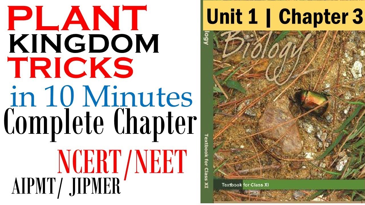 Plant kingdom class 11 ncert | Plant kingdom tricks for neet | class 11 biology chapter 3