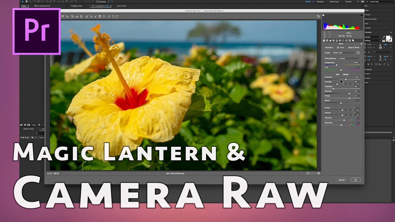 Magic Lantern Raw Workflow: Canon 5D