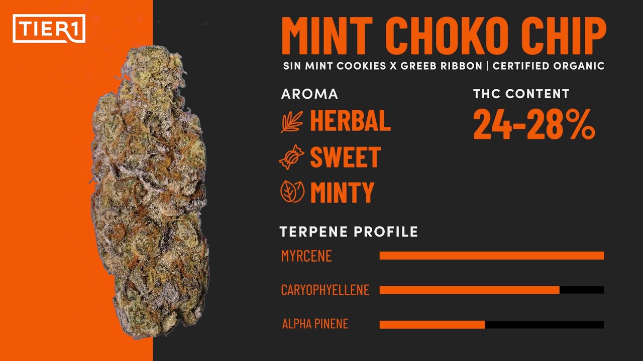 Mint Choko Chip Strain - Tier 1