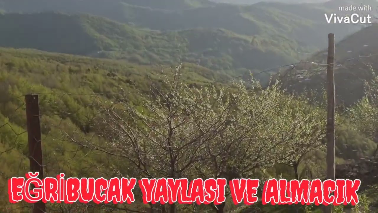 HASSA AKTEPE EĞRİBUCAK YAYLASI