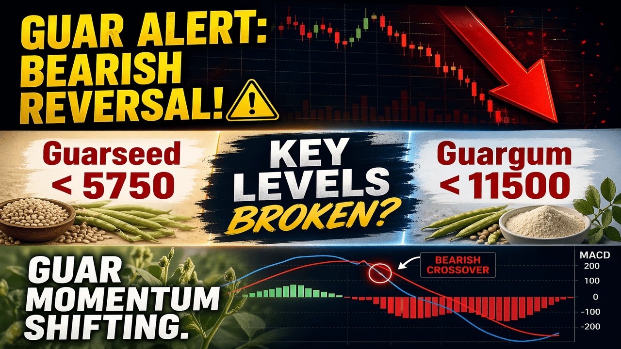 Guarseed & Guargum Crash Coming Technical Analysis & Price Targets