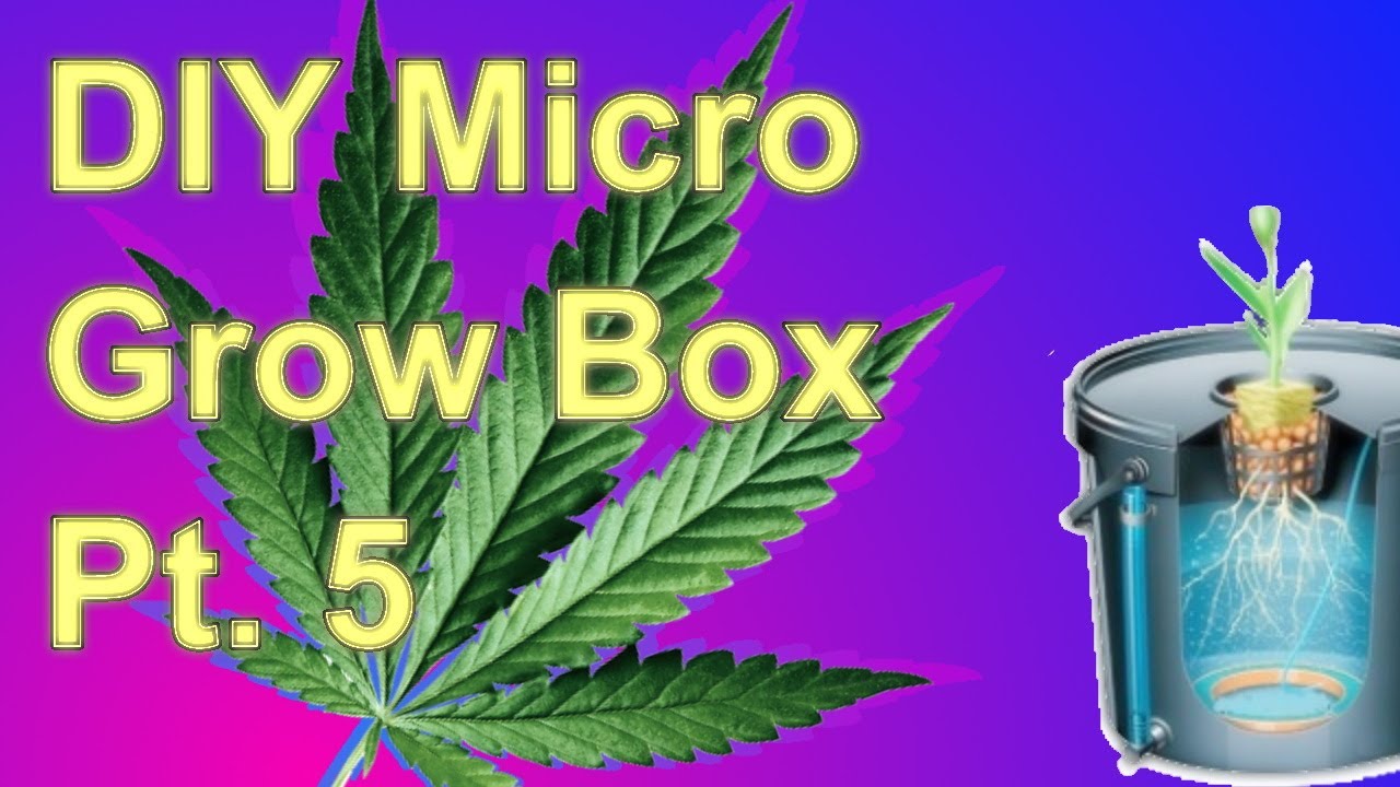 Building a DIY Micro Grow Box Part 5 - Hydroponics (DWC).