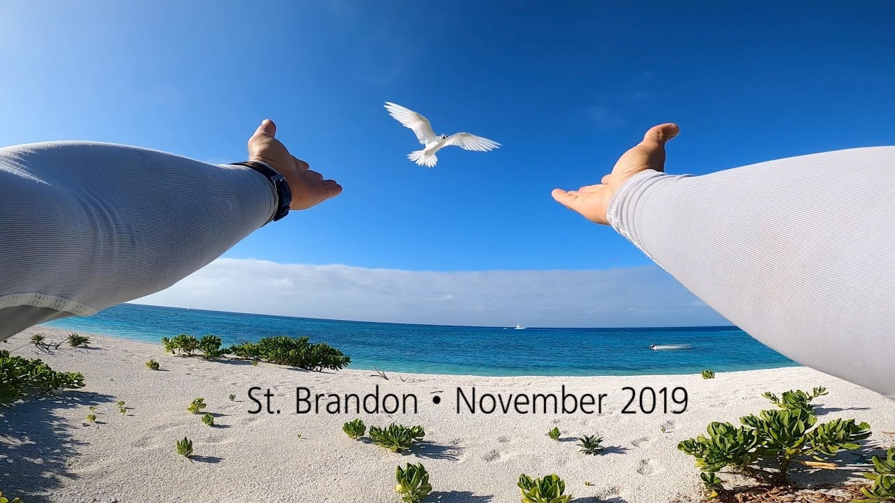 St. Brandon 2019 🕊 Part 1 of 8