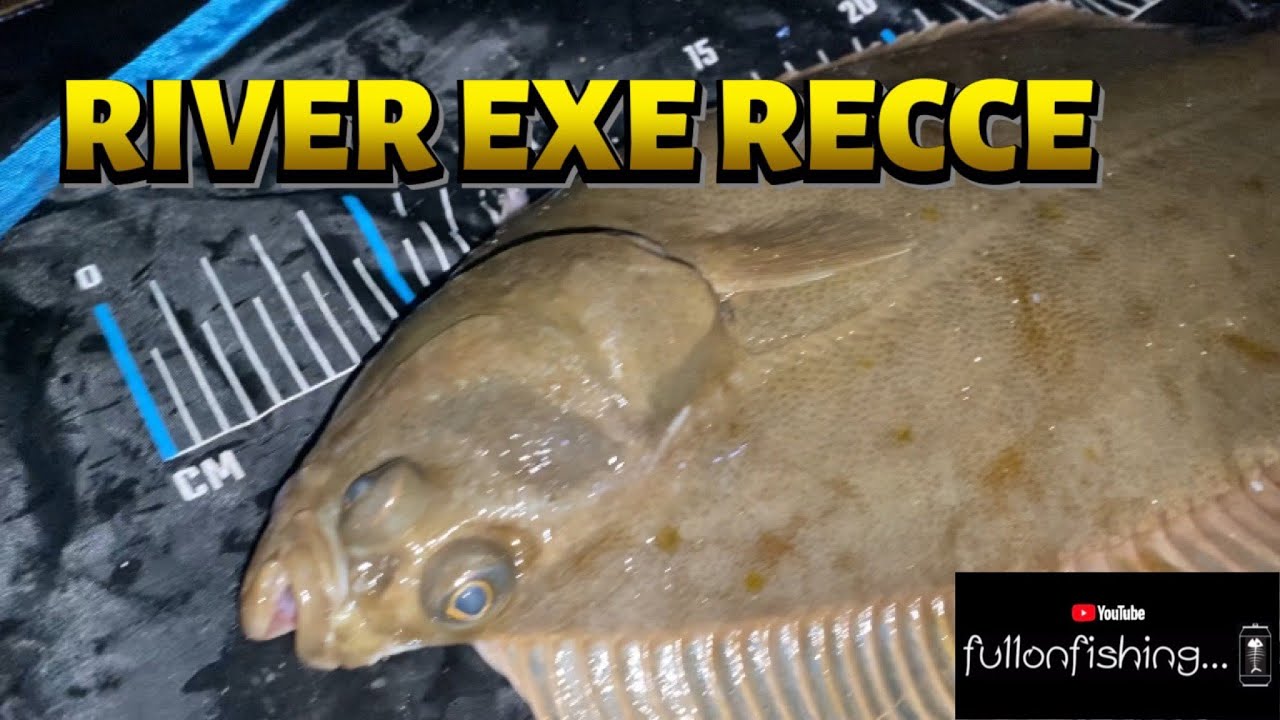 Sea Fishing the RIVER EXE for BASS and FLOUNDER. UK Devon Angling 2023.